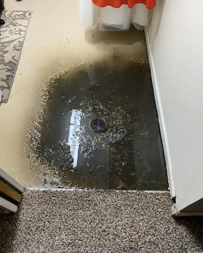 Dark standing water beside a radiator and adjoining carpet