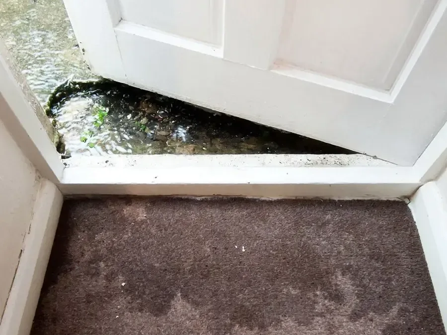 Water across an open doorway threshold beside wet indoor carpet