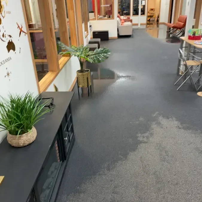 Wet flooring across an open commercial interior with tables and potted plants