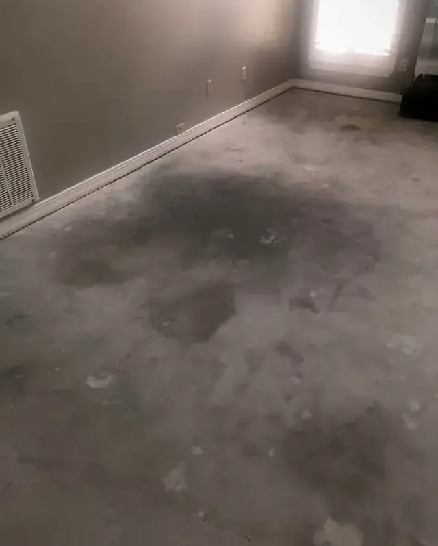 Dark wet patches spreading across a bare concrete floor inside a room