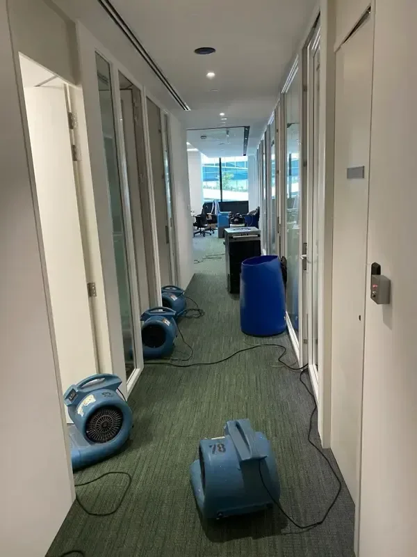Air movers drying a carpeted corridor during structural drying